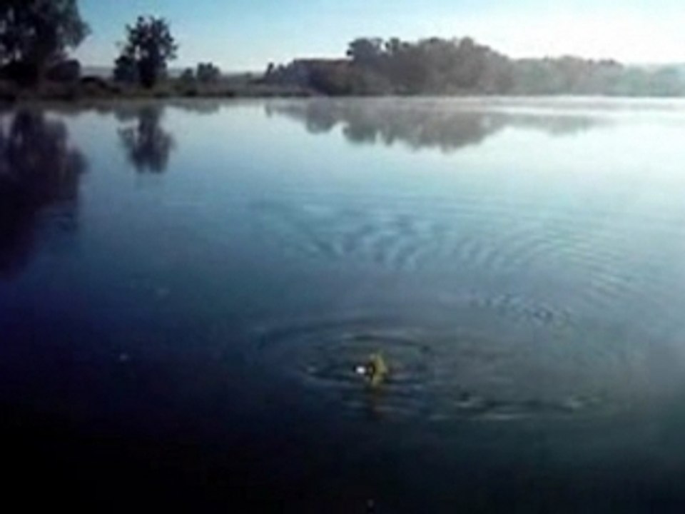 Pêche Carpe fish 55 meuse lorraine