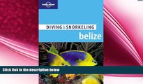 behold  Lonely Planet Diving   Snorkeling Belize