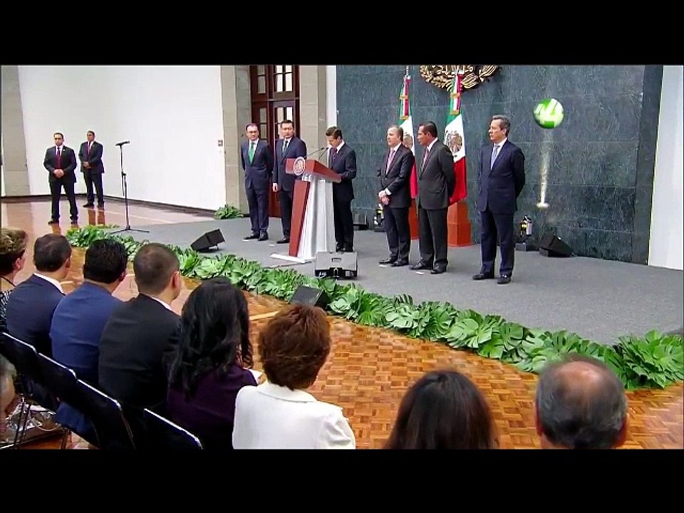 RENUNCIA VIDEGARAY