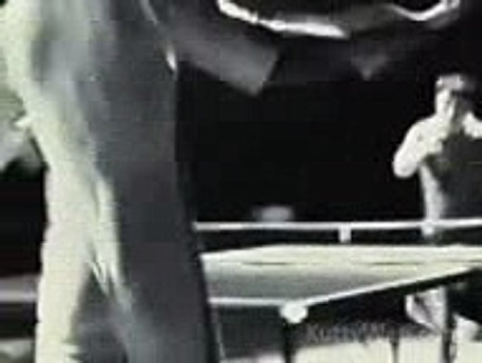 Bruce Lee Plays
