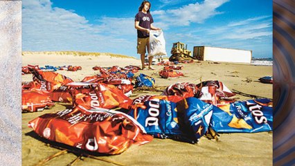 ►20 Bizarre Strange Things found on the beach