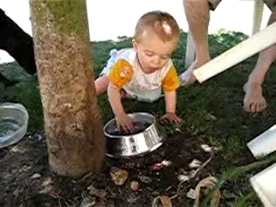 04 08 07 015