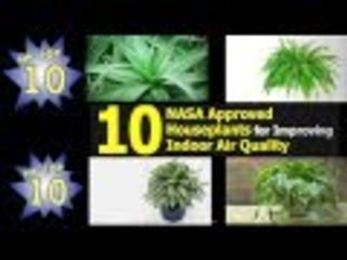 NASA Verified Houseplants For Improving Indoor Air Quality 2016