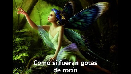 ESTOY ENAMORADO .-DONATO Y ESTEFANO.-KARAOKE