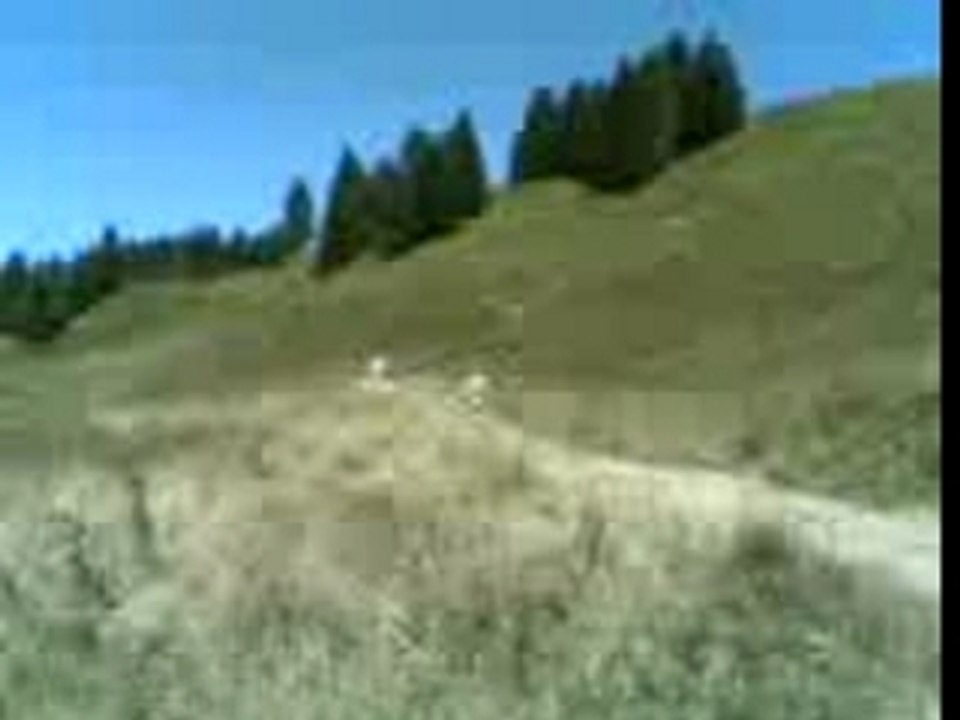 drôles de concurrents !