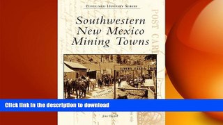 FAVORITE BOOK  Southwestern New Mexico Mining Towns (Postcard History) FULL ONLINE