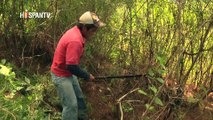 Cámara al Hombro - Áreas protegidas en Guatemala