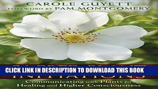 New Book Sacred Plant Initiations: Communicating with Plants for Healing and Higher Consciousness