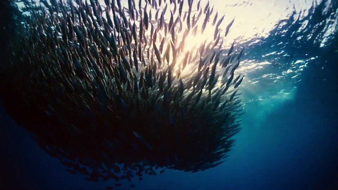Making of  Voyage of Time