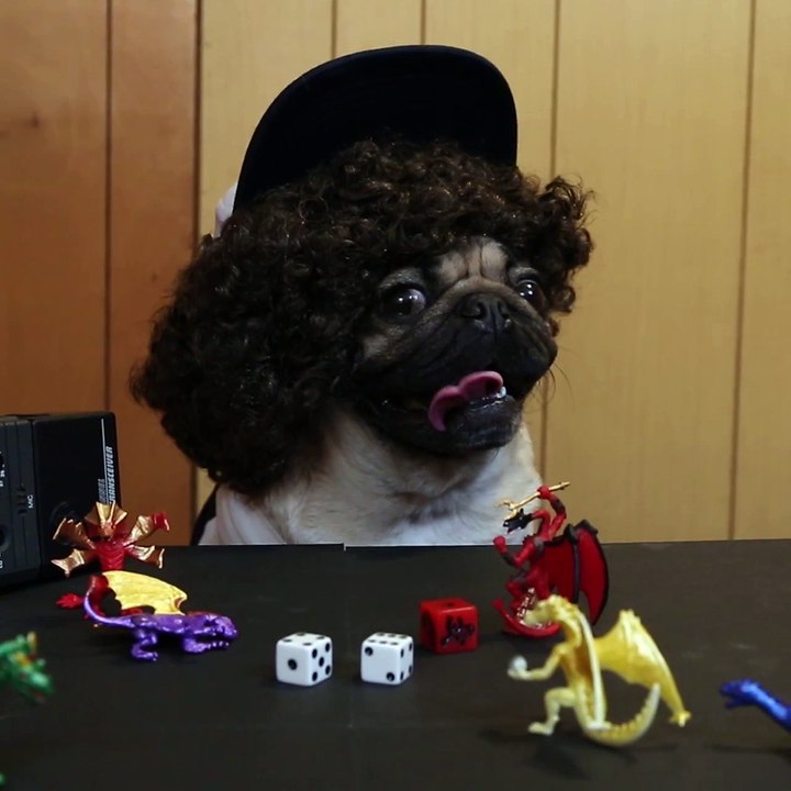 Stranger Pugs - Parodie de Stranger Things avec un chien Carlin