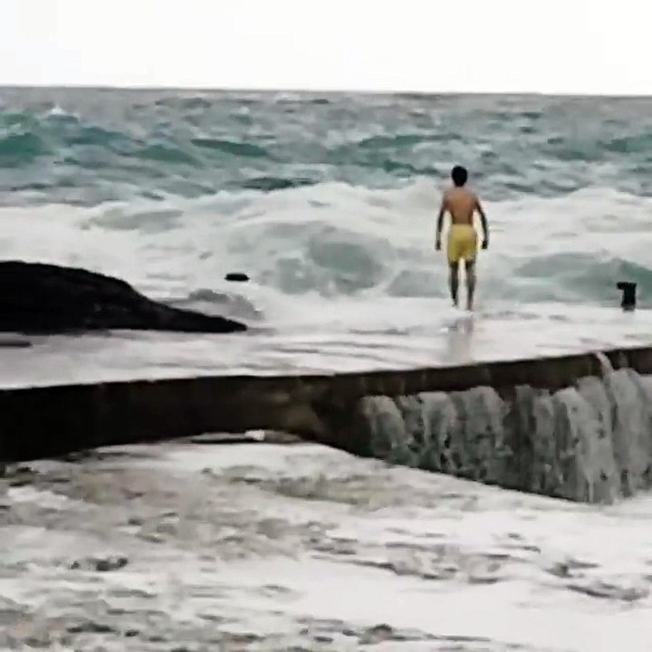 Un fou se jette dans une énorme vague et ressort indemne