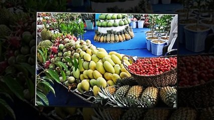 THƯƠNG HOÀI LÁI THIÊU by Trầm Thiên Thu