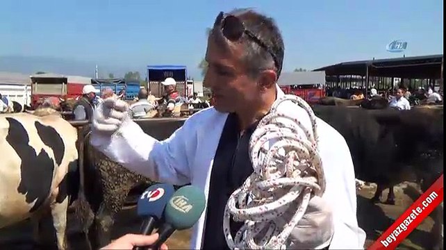 Kurban yatırmanın püf noktaları