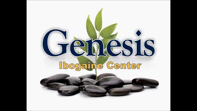 Genesis Ibogaine Center - Scott and Dennis