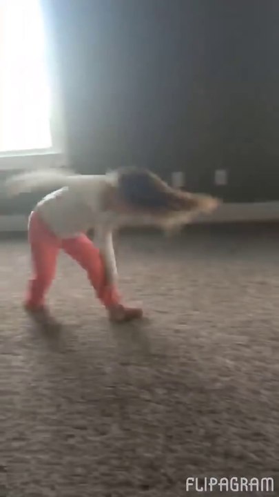 Ce chien fait la roue pour imiter une petite fille