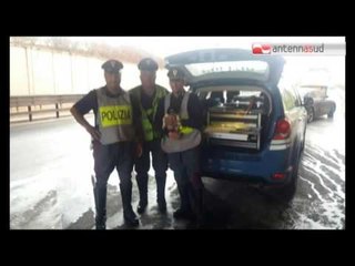 TGSRVset08 polizia salva cucciolo cane