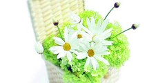堀川優美【BGM-incidental-music】白い花束オルゴール--white-bouquet-music-box_yfEFlRkCRfI_youtube.com