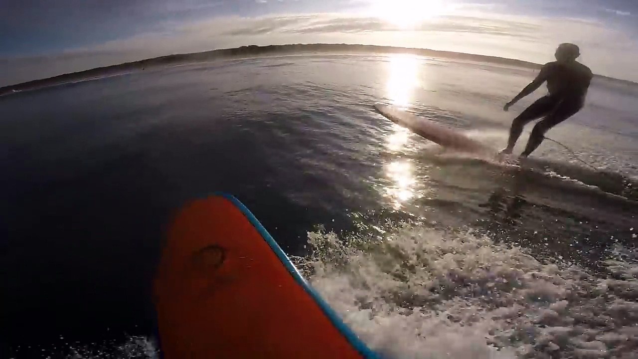 Un phoque s'invite sur la planche d'un surfer