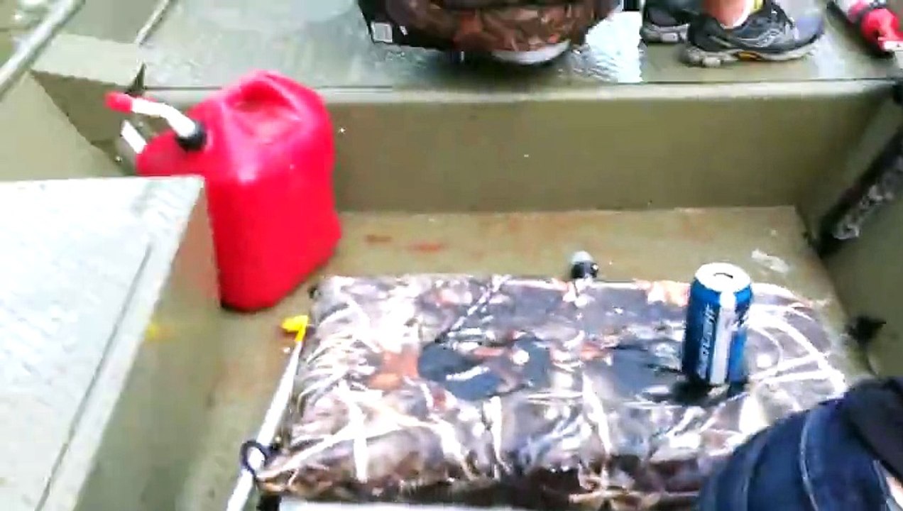 Des dizaines de carpes asiatiques attaquent soudainement leur bateau