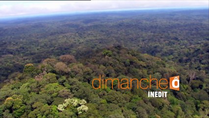 Passion Outre-Mer en Guyane - Dimanche 11 septembre à 21H00