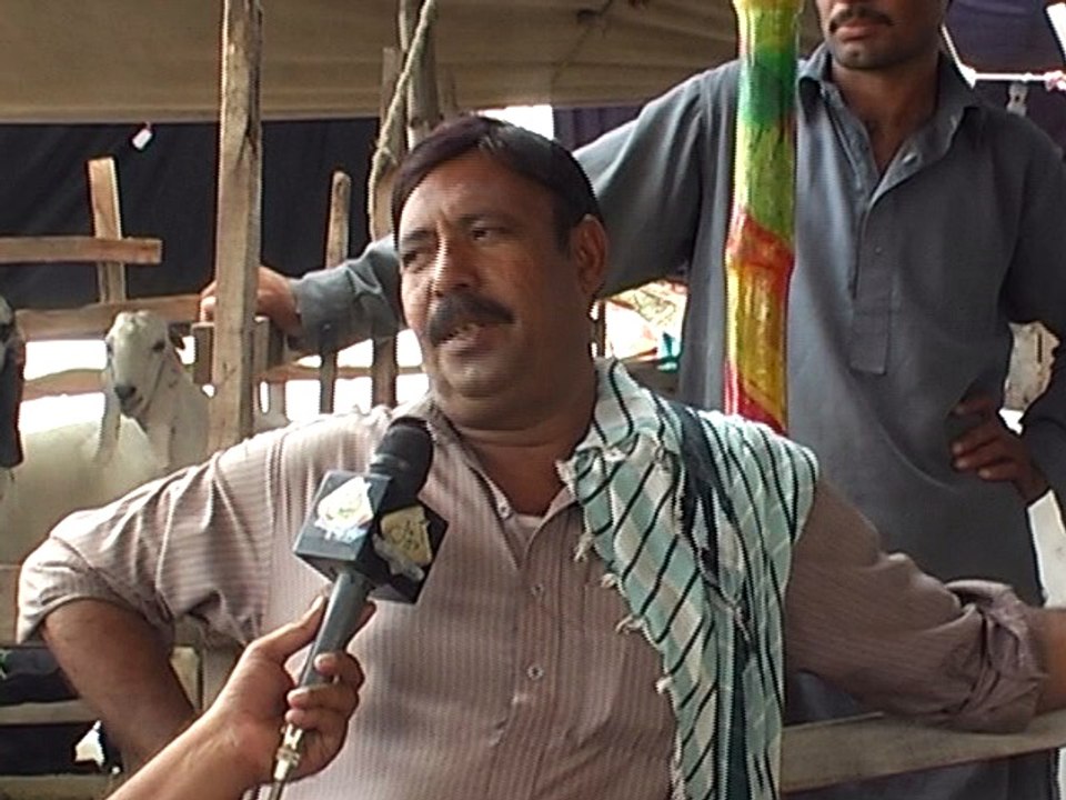 mannanashraf7111AS LIVE MANDI