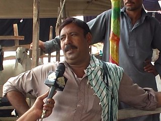 mannanashraf7111AS LIVE MANDI