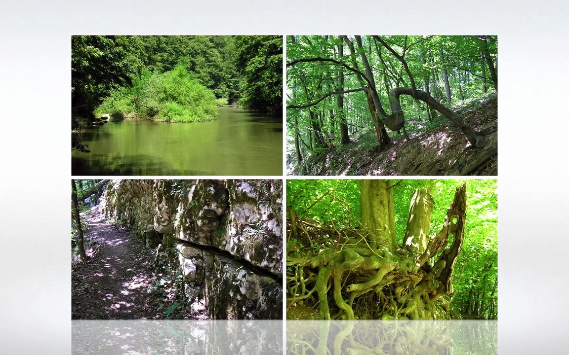 Vizitaţi România: Parcul Naţional Cheile Nerei-Beuşniţa