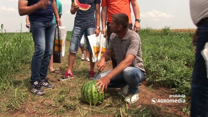 Pogledajte kako je bilo na Danu polja lubenice u Ašanji