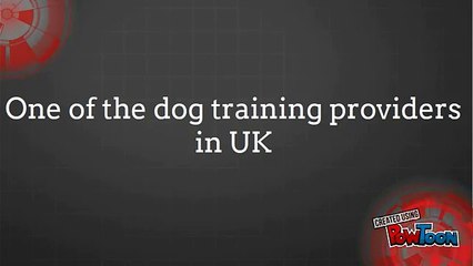 One of the dog training providers in UK