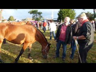 foire de lessay vendredi 9 septembre 2016