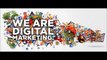 Hire Digital Marketing Experts