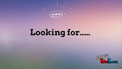 Professional Criminal Defence Lawyer