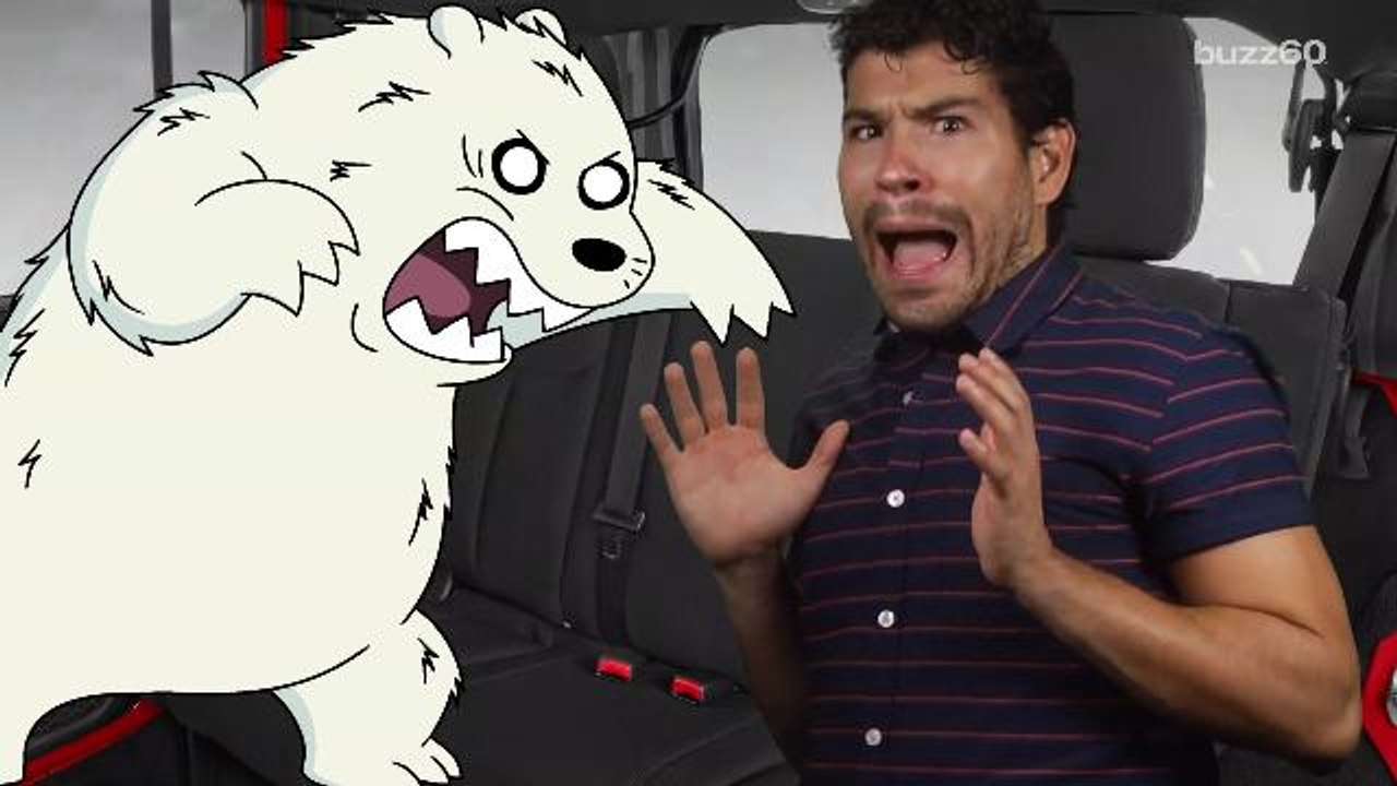 The Weirdest Driving Laws in the US