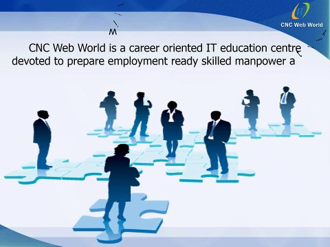 Job Oriented Software Training