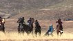Au royaume du Lesotho, les chevaux sont rois