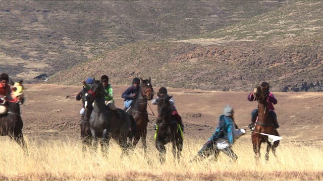 Au royaume du Lesotho, les chevaux sont rois