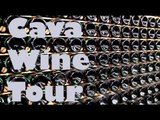 Cava Wine Tour - Sant Sadurni d'Anoia, Spain