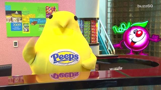 Worker Strike May Cause a Peeps Shortage Next Easter