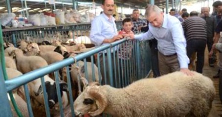 Bayram'da Hava Sıcaklıkları 2-5 Derece Azalacak!