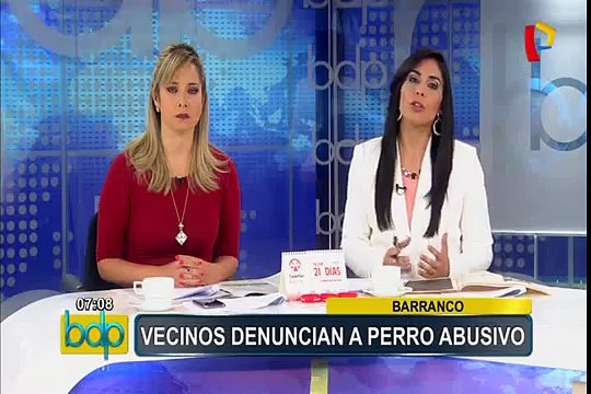Barranco: vecinos atemorizados por reiterados ataques de perro