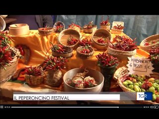 TGR del 08/09/2016 festival del peperoncino a Diamante (Cs)