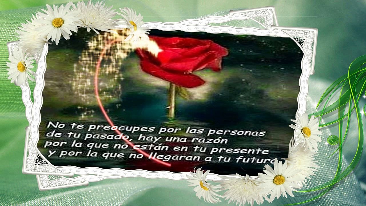 Amistad Comprobada