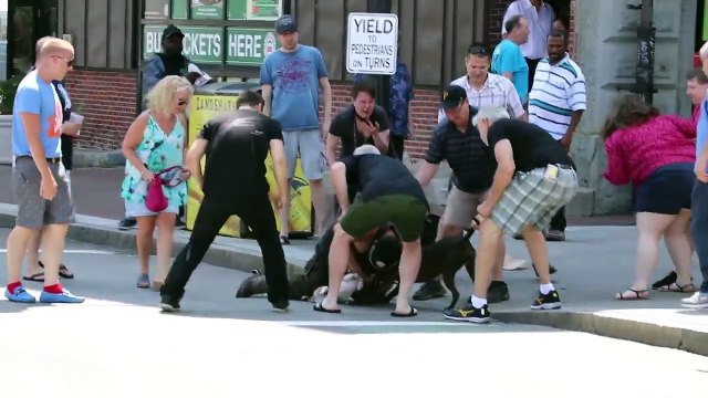 Elle risque sa vie pour sauver son chien attaqué par un pitbull