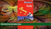 behold  Michelin Italy Map 735 (Maps/Country (Michelin)) (Italian, English, French, German,