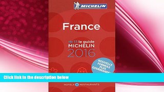 behold  MICHELIN Guide France 2016: Hotels   Restaurants (Michelin Red Guide France) (French