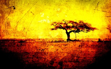 Richest People Favorite Places