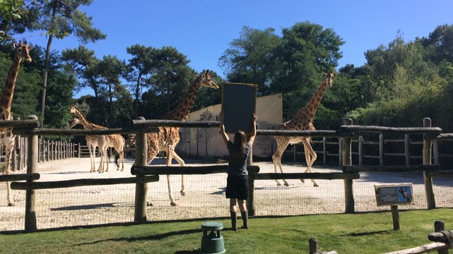 Fin du tournage d'Une saison au zoo 6