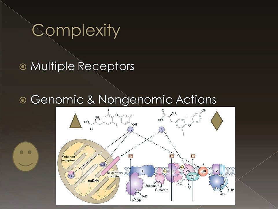 Armour Thyroid: Is it obsolete?