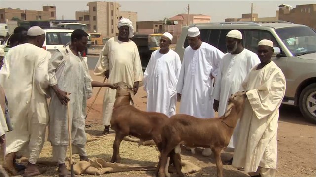 ارتفاع حاد لأسعار الأضاحي في السودان