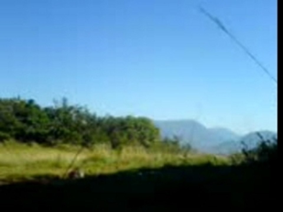 250 CR  Sacré soucis